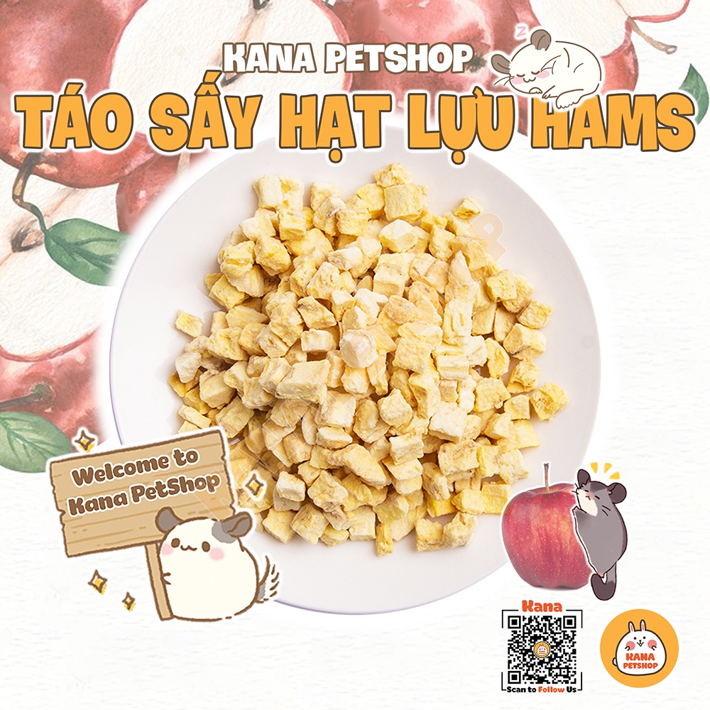 Táo Nam Mỹ Sấy Hamster 🐹FREESHIP🐹 Đồ Ăn Vặt Táo Sấy Lạnh Thức Ăn Dặm B