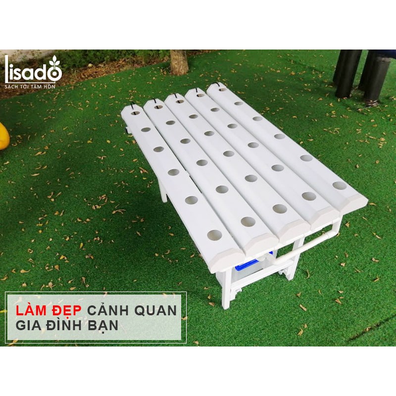 Giàn trồng rau thủy canh GLS 05