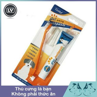 Kem đánh răng cho chó mèo cao cấp Phụ kiện Long Vũ