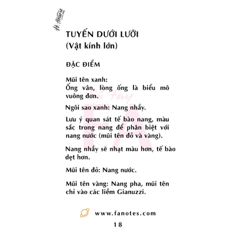 Sổ tay FA mô học 2//flashcard mô học 2