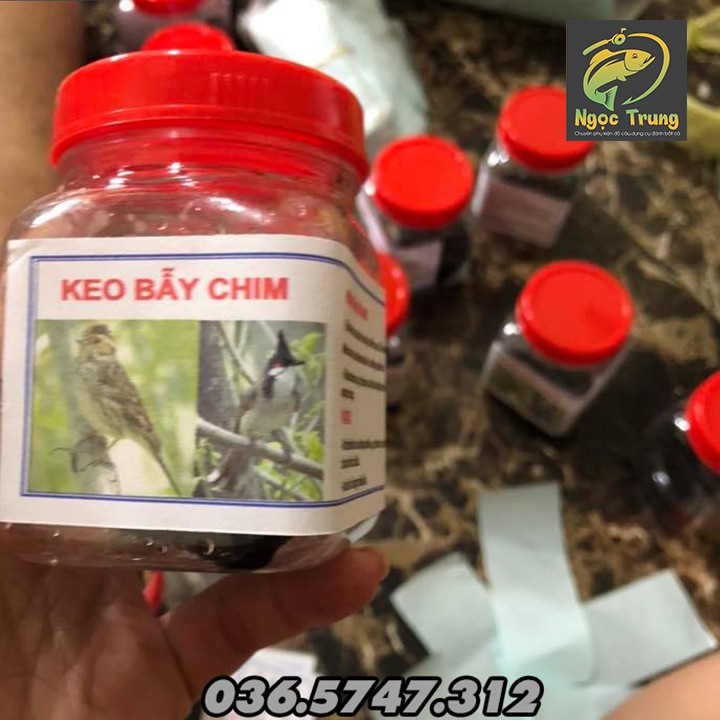 Bộ COMBO 1-3- 5 hộp KEO BẪY CHIM. KEO DÍNH CHIM