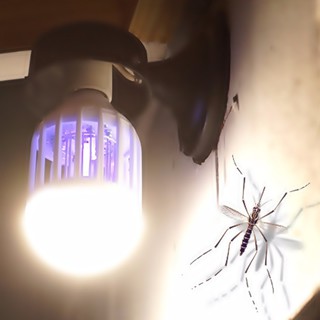 Đèn bắt muỗi Mosquito Killer Lamp