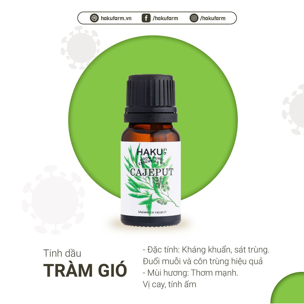 Tinh dầu Tràm Gió Cajeput