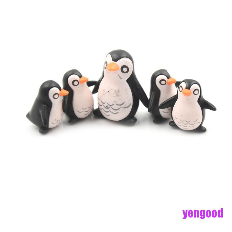 Bộ 5 Mô Hình Chim Cánh Cụt mini Trang Trí Nhà Búp Bê