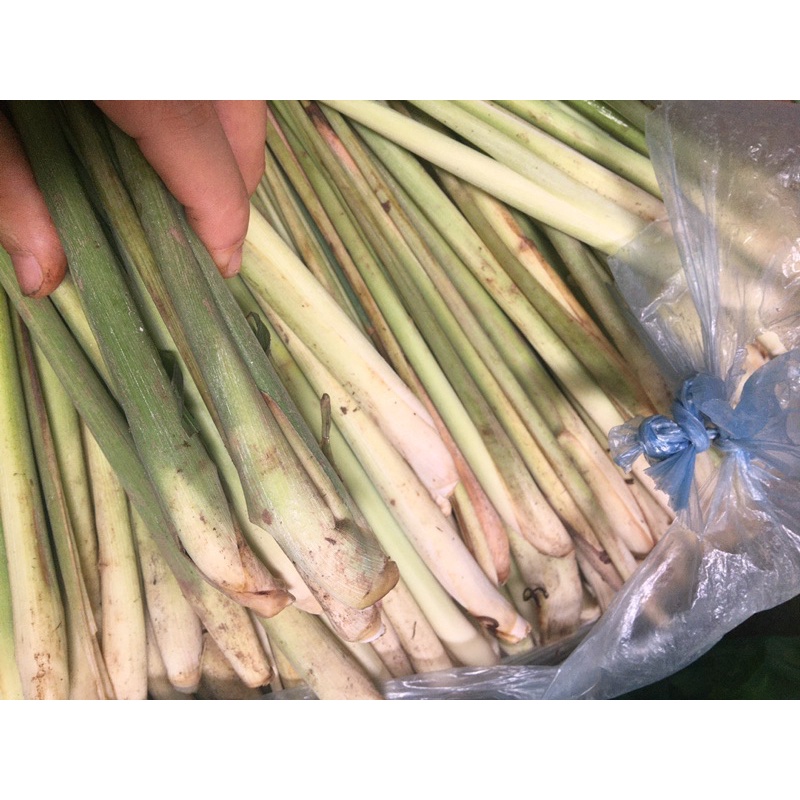 1Kg Sả Cây Tươi Nhà Trồng Củ To Ngon