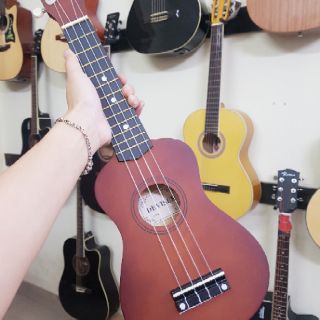 ĐÀN UKULELE SOPRANO - ĐÀN UKULELE NHIỀU MÀU
