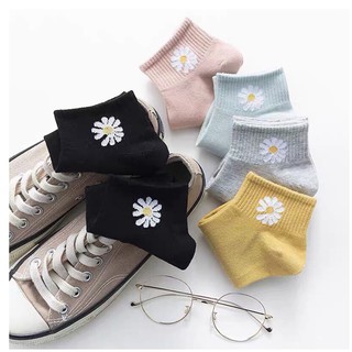 Combo 10 đôi tất Hoa cúc rất xinh