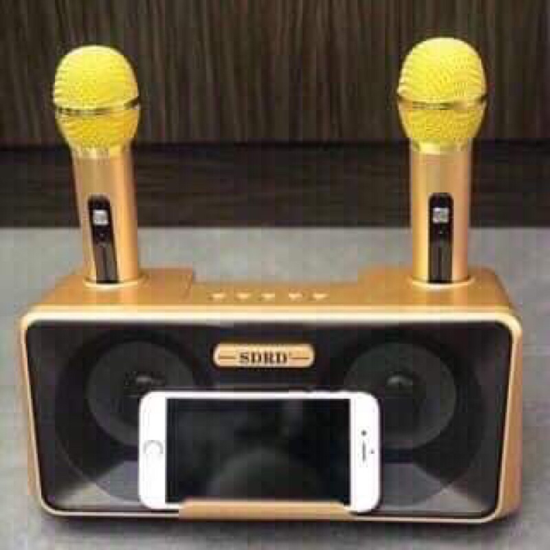 Loa Karaoke Bluetooth Xách Tay Di Động,Tặng Kèm 2 Micro Không Dây Cao Cấp