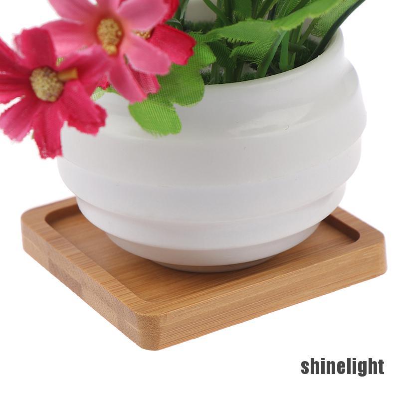 Khay Gỗ Tre Tròn / Vuông Để Trồng Cây
