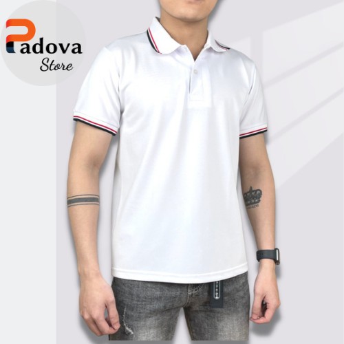 Áo thun nam trơn có cổ chất liệu vải cotton cá sấu, thiết kế đơn giản, mẫu mới năm 2021 PADOVA – PV 06 | BigBuy360 - bigbuy360.vn