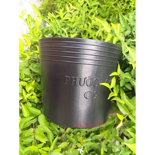 Chậu nhựa đen C9
