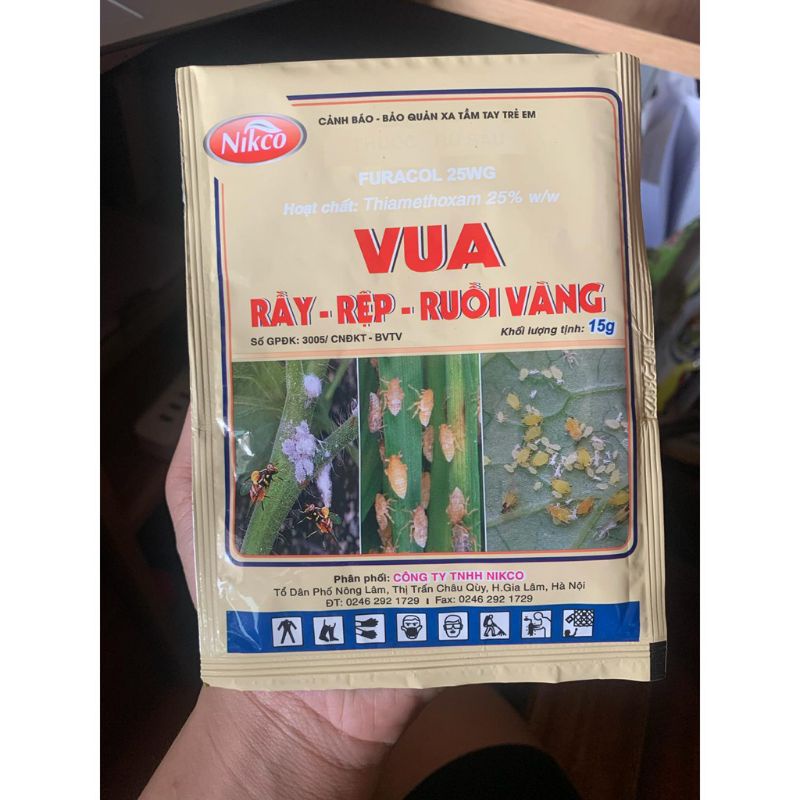 VUA RẦY RỆP - TRỊ RỆP , RUỒI VÀNG , RẦY NÂU