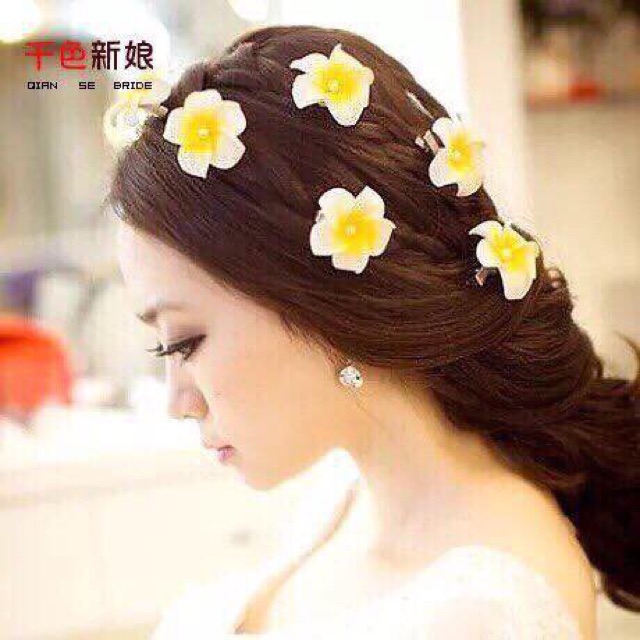 Hoa Đại Cài Tóc Siêu Hot Hit