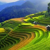 green.grass, Cửa hàng trực tuyến | BigBuy360 - bigbuy360.vn