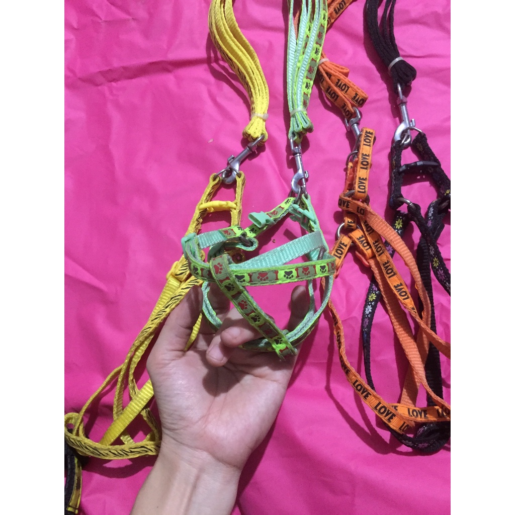 Dây dắt thú cưng chó mèo 1cm có yếm thanh lý