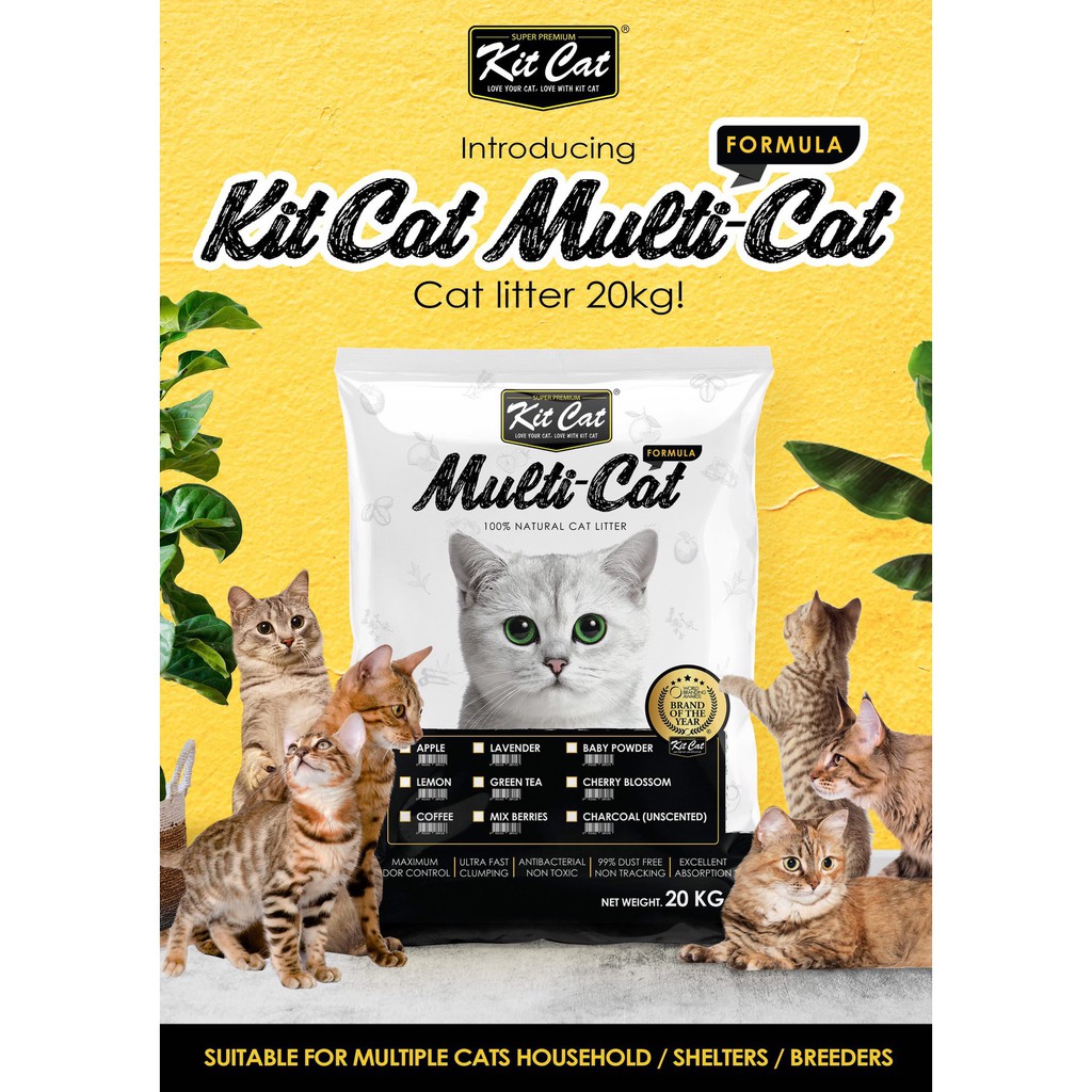 [ BAO BÌ MỚI ] cát Kit Cat Multi-Cat 20kg dành cho sen nuôi nhiều mèo