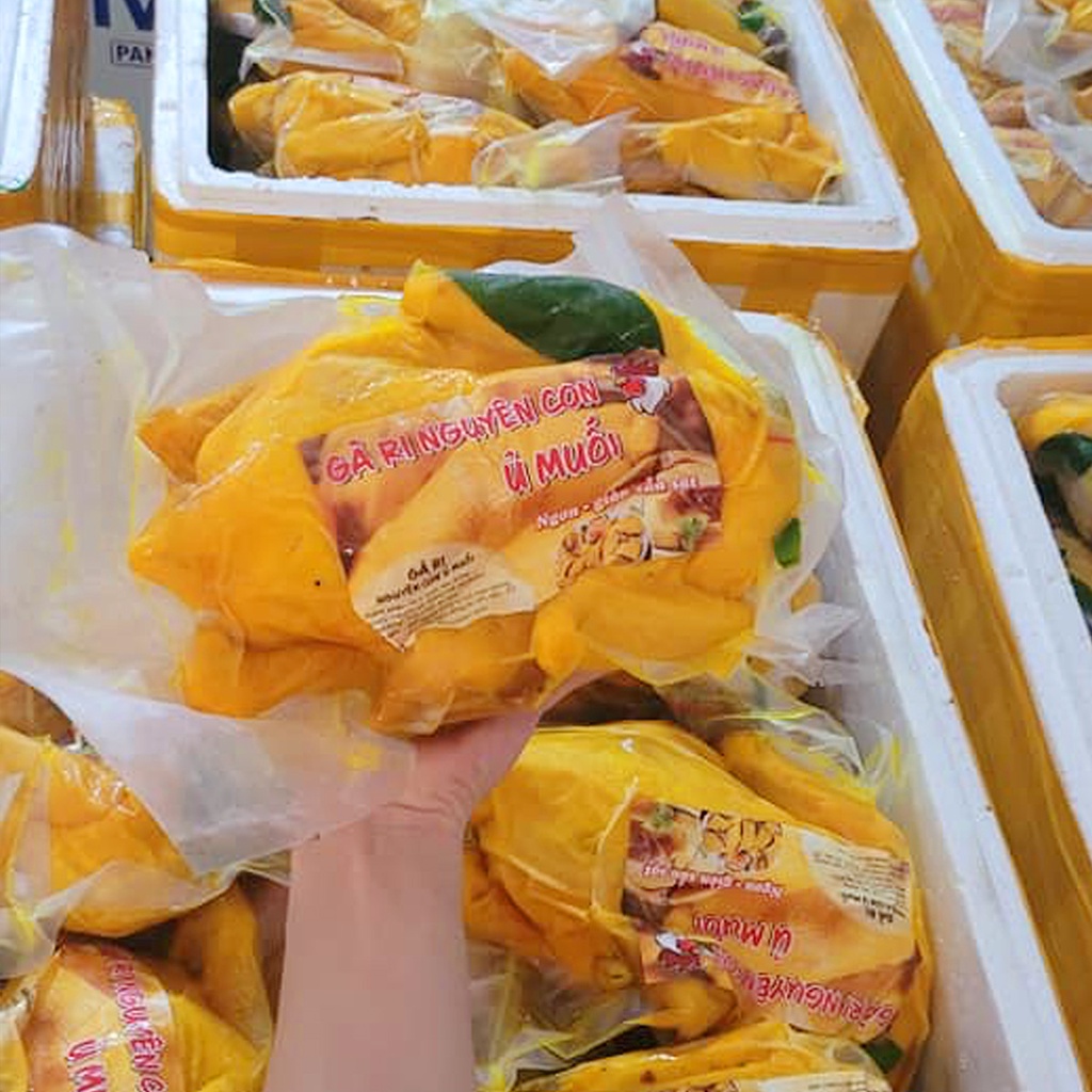 GÀ Ủ MUỐI HOA TIÊU NGUYÊN CON