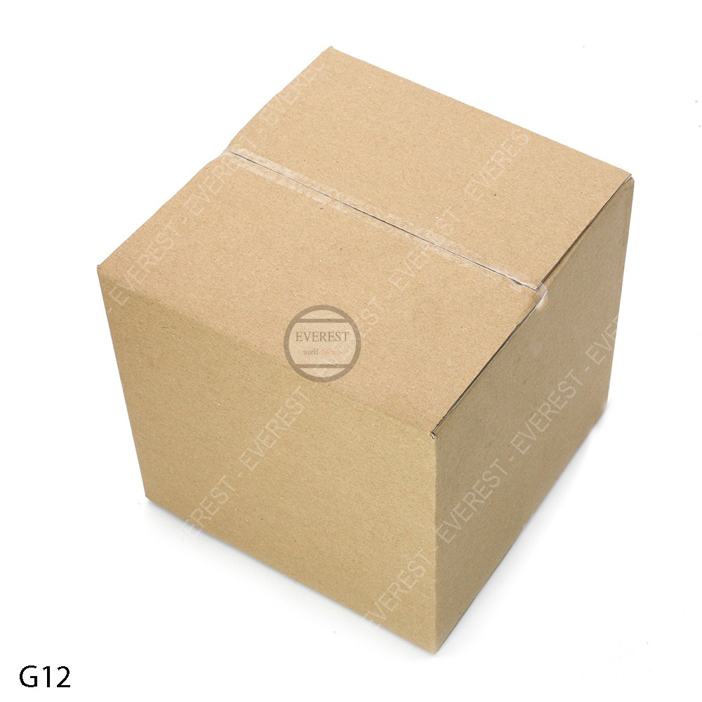 Combo 20 thùng G12 10x10x10 giấy carton gói hàng Everest