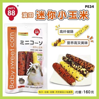 Bắp trái dinh dưỡng cho hamster