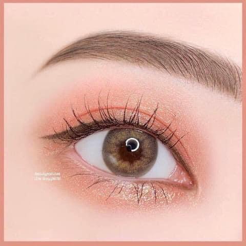 Phấn Mắt Sivanna Fox &amp; Frog 10 Ô Colors Eyeshadow Palette HF158 Thái Lan