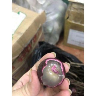 Cây 🌲 Nhãn tím... trái đỏ lá đỏ