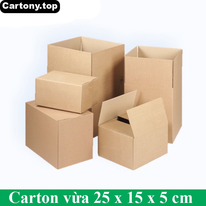 Carton vừa 25 x 15 x 5 cm