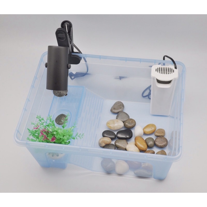 Chậu Nuôi Rùa, Bò Sát Bằng Nhựa | SIZE TRUNG-NHỎ