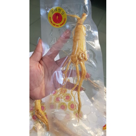 Nhân sâm Hàn Quốc,tách lẽ một củ sâm tươi  loại 1kg 25 củ