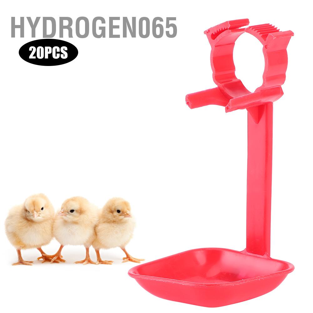 Hydrogen065 20Pcs Chicken Nipple Drinker Cups Waterer Hanging Cup Drinking Water Tool Farm Supplies