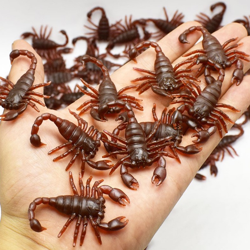 Bộ 10 Bọ Cạp Thú Vị Độc Đáo