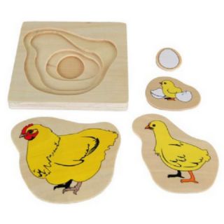 Tranh ghép Montessori Vòng đời trưởng thành