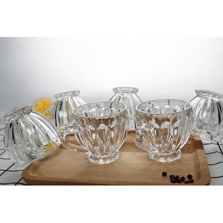 Bộ 6 Ly Thủy Tinh Bầu Lùn Uống Trà Bộ 6 ly thủy tinh uống trà cao cấp đẹp tiện lợi