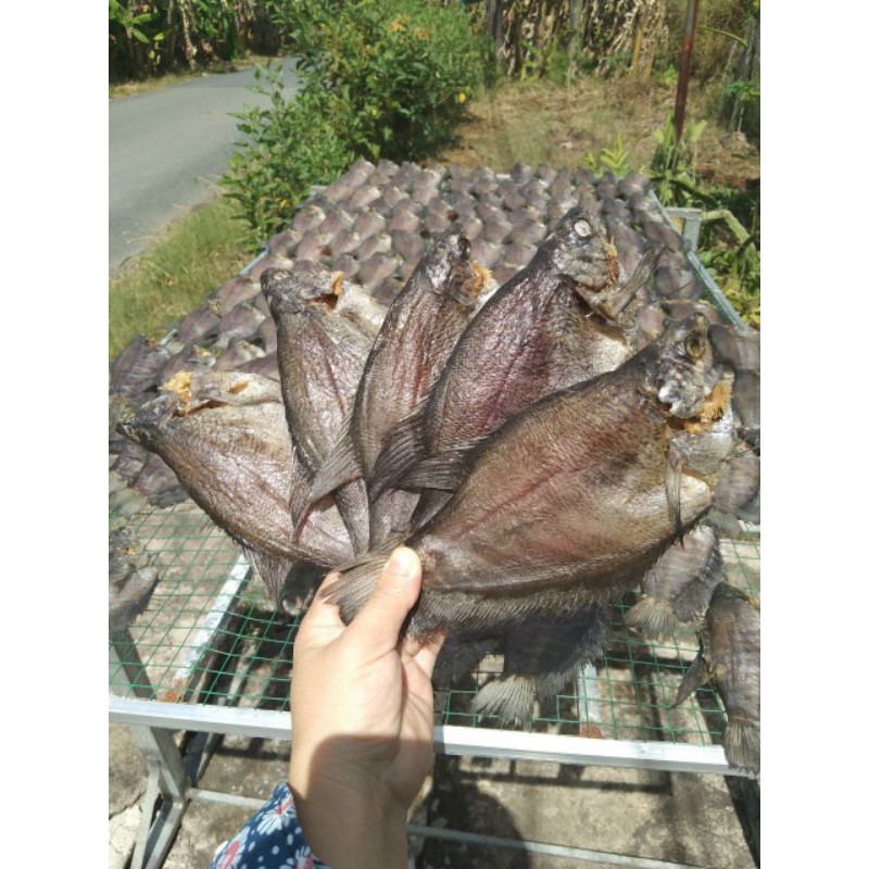 Khô cá sặc rằn