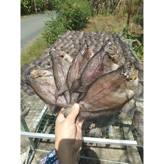 Khô cá sặc rằn