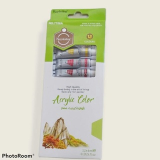 Bộ 12 màu acrylic 6ml vẽ trên nhiều chất liệu (không phai khi giặt)