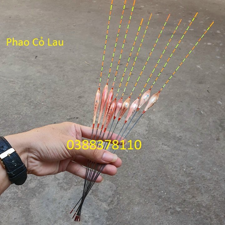 Phao Câu Cá, Phao Câu Đài, Phao Cỏ Câu Đài Cỏ Lau Tự Nhiên 100% - PC 2