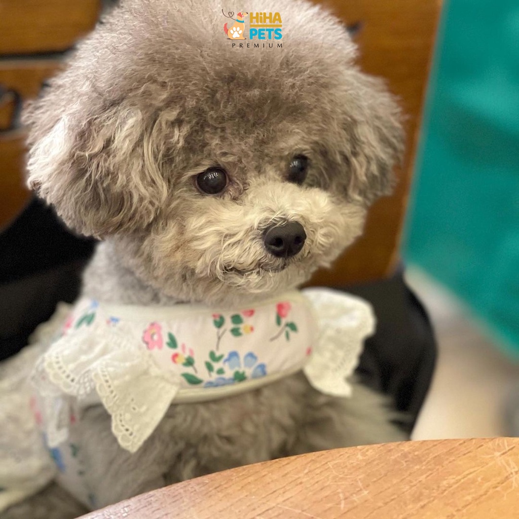 Dây Dắt Chó Mèo Đi Dạo Có Kèm Yếm Dây Dắt Thú Cưng Hàn Quốc Premium Hiha Pets.