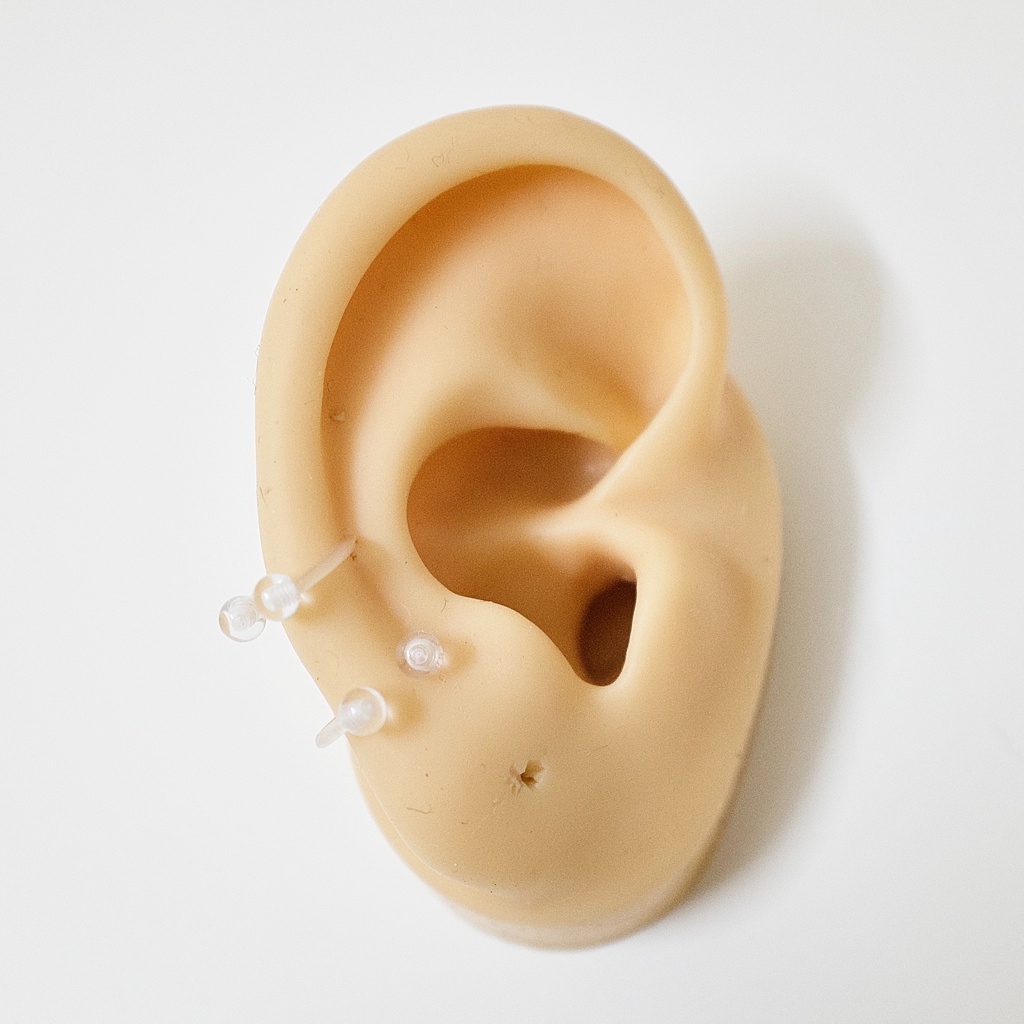 Khuyên Tai Titan Unisex Chữ U Trong Suốt Nhựa Không Gỉ Sét Không Ngứa Bông Tai Julies Box 66