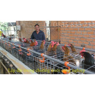 Núm Uống Cho Gà 1 Quai Bộ 10 Núm