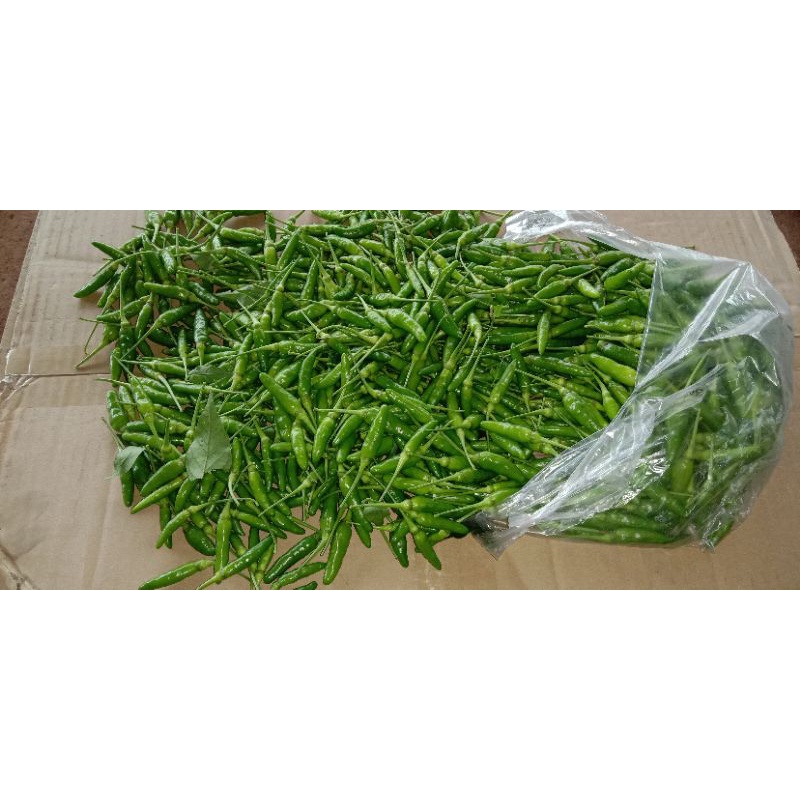 combo 5kg ớt xiêm xanh