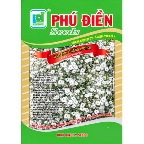 hạt giống Hoa Baby trắng