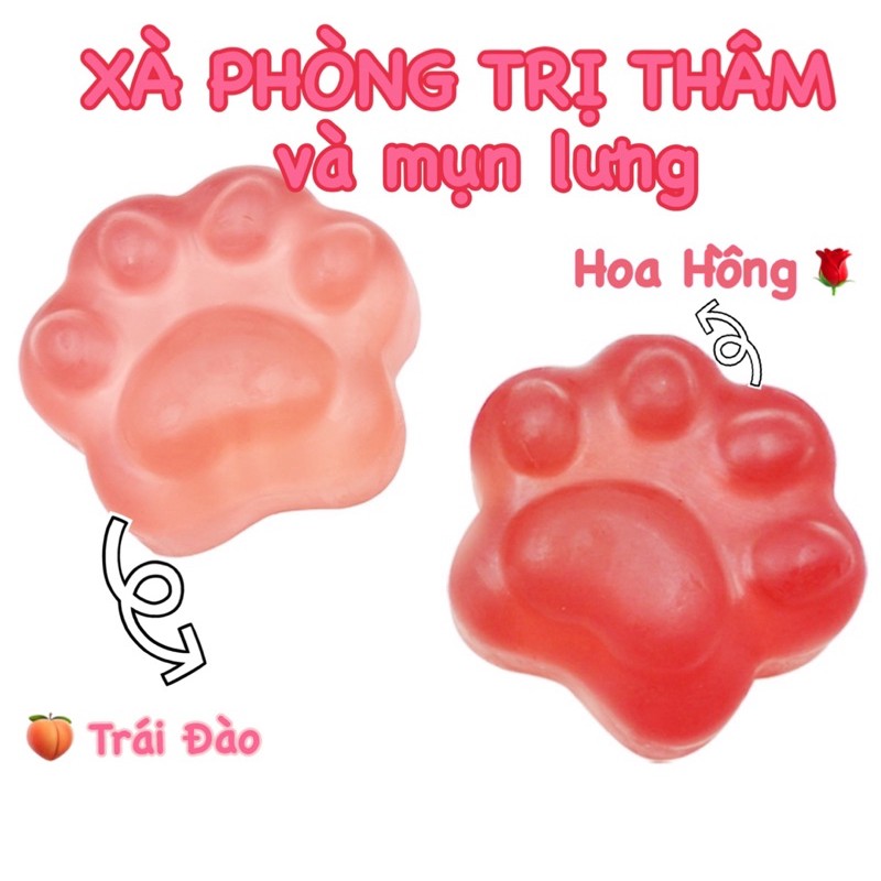 XÀ PHÒNG TAY MÈO