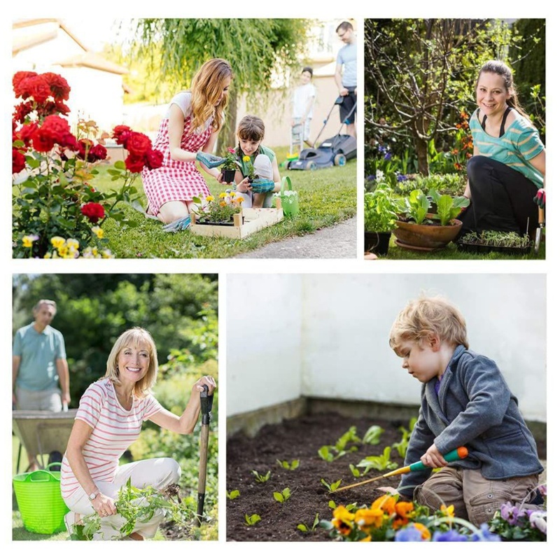 Set 100 Que Thử PH Trong Vườn