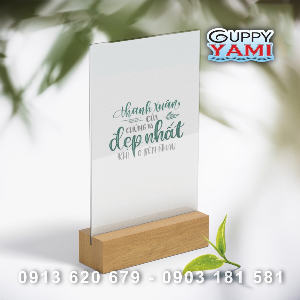Mica trong suốt, cứng làm hồ cá, hộp kính, đồ chơi , 30x40cm