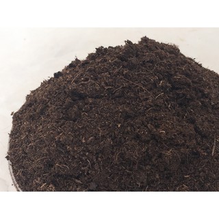 Đất Peatmoss 1.2l