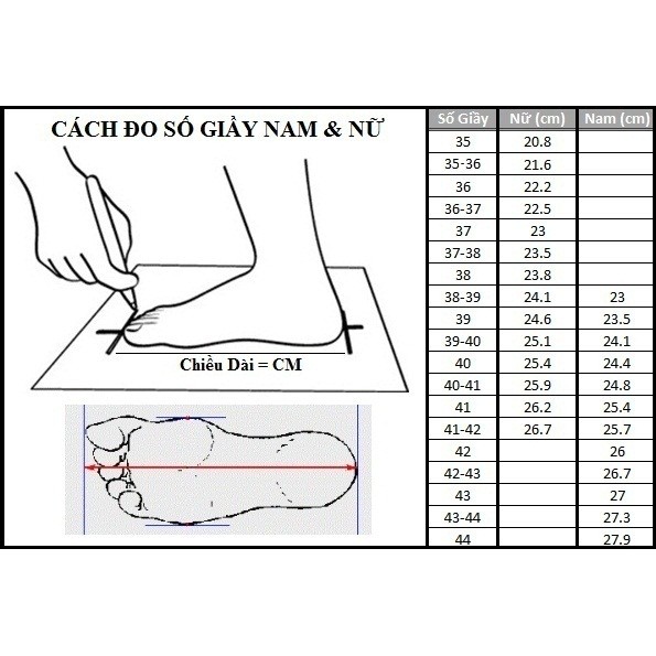 Giày CVS AllStar Classic Cổ Thấp Nữ Đỏ Đô