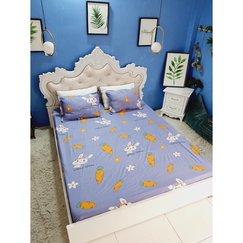 Vỏ Chăn Có Khoá Kéo Cotton Poly 2m2 x2m