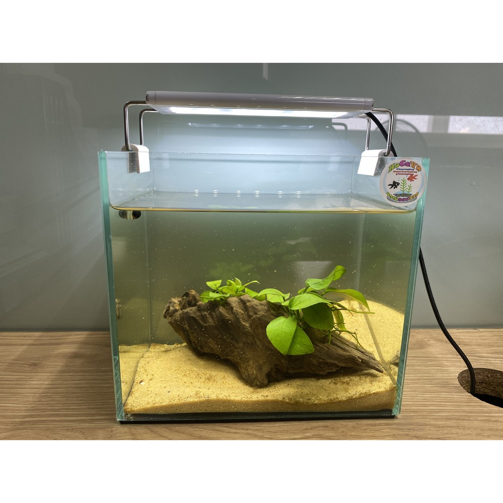 Đèn LED Thủy sinh SIÊU SÁNG Xuan Mei Long 2 dãy TRẮNG hoặc TRẮNG - XANH, cho hồ cá size 20 - 30 cm. ĐÈN LED CAO CẤP TS.