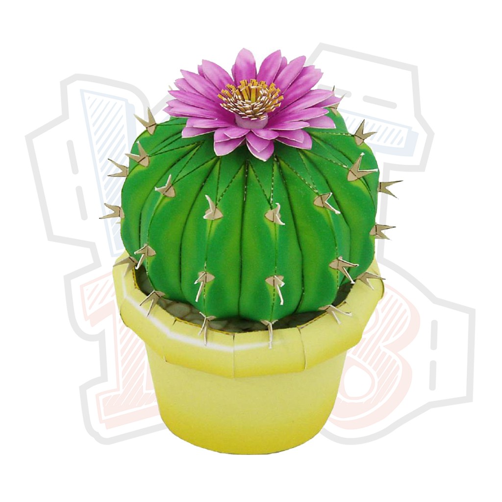 Mô hình giấy cây cảnh Cây Xương Rồng Notocactus uebelmannianus