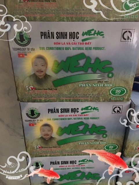 Phân sinh học WEHG